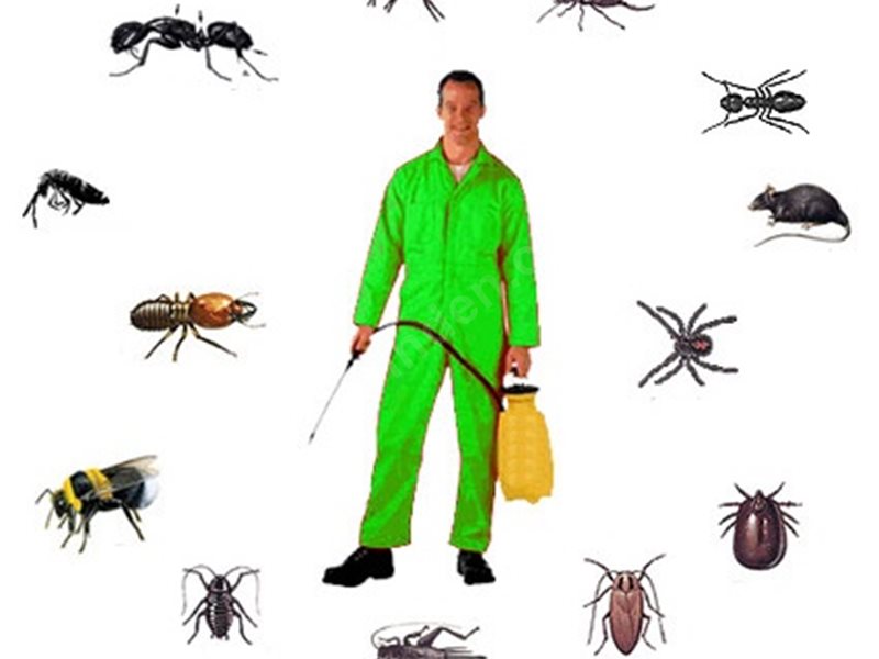 Bozyaka Böcek İlaçlama